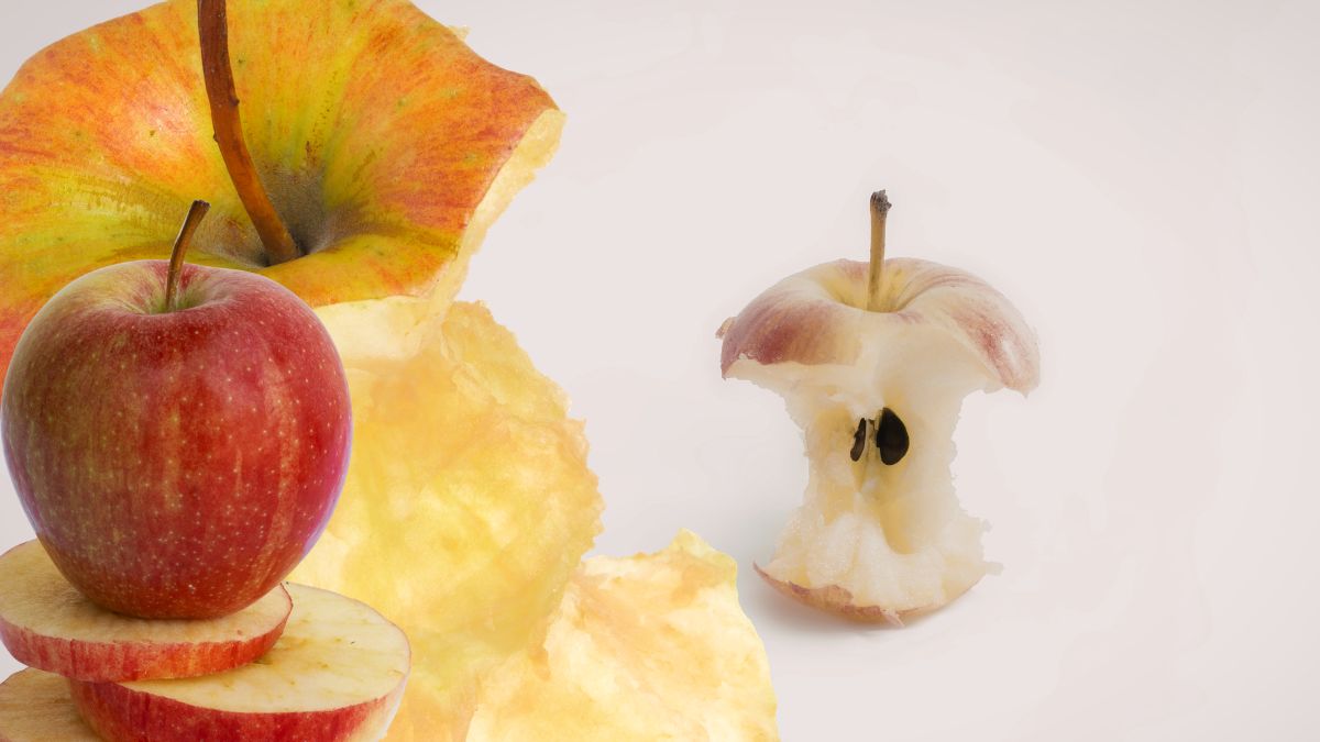 torsoli di mela